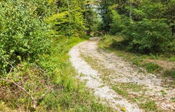 5821 Buffalo Road, Oneida, TN 37841