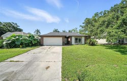 22422 STILLWOOD DRIVE, LAND O LAKES, FL 34639