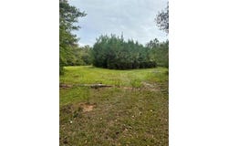 00 JARRELL TOWN Road, Bogalusa, LA 70427