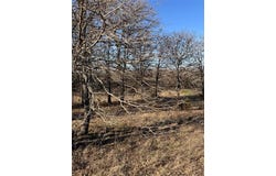 210 County Road 1264, Whitesboro, TX 76273