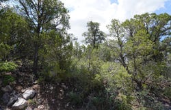 263 FIVE HILLS Drive, Tijeras, NM 87059