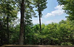219 Sparrow Hawk Road, Rochester, VT 05767