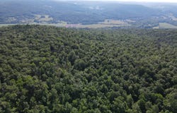 1232 Bell Hill Rd, Painted Post, NY 14870