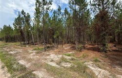 0 (lot 4) Corbitt Road, Manor, GA 31550