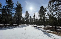11294 Roundup, Lead, SD 57754