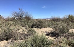 .34ac US HWY 191, Safford, AZ 85546