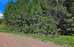 Lots 33 & 34 Storm Watch, Bessemer, MI 49911