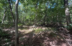 LOTS DOGWOOD, MOUNTAIN RISE & GREAT OAK Road, HARRISBURG, PA 17110