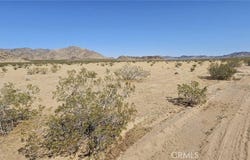 800 Algoman Avenue, Lucerne Valley, CA 92356