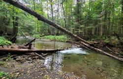 00 Brook Road, Chelsea, VT 05038