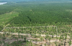 3 Acres Courtney Rd., Lumberton, MS 39455