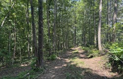 Lot 3 Happy Hollow, Roopville, GA 30170