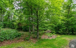10 Spread Eagle Way, Lake Placid, NY 12946