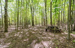 630 62nd Street, South Haven, MI 49090