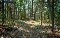 V/L Round Lake Drive, Holton, MI 49425