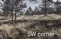 Canvasback Drive, Bonanza, OR 97623