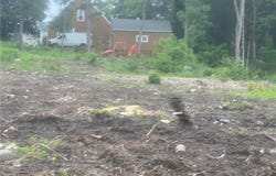 Franklin Street, Homer, NY 13077