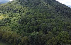 Scenic Dr., RICH CREEK, VA 24147