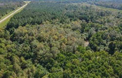Highway 28, Mize, MS 39116