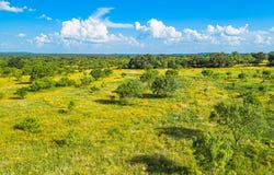 County Rd 106, Castell, TX 76831