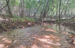 Y.C. Nichols Rd, Lowndesboro, AL 36752