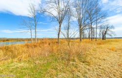 00 Cravens Road, Savannah, TN 38372