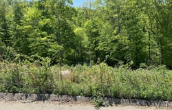 330 Timber Creek Rd, Maynardville, TN 37807