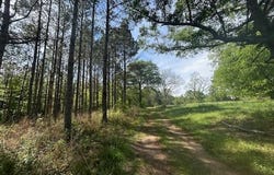 Mount Zion Lane, Sontag, MS 39665