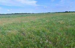 Tbd HCR 3254, Mount Calm, TX 76673