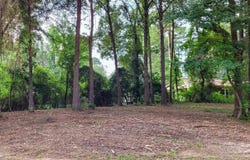 142 Leopard Drive, De Queen, AR 71832