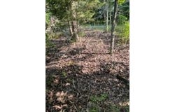 McCauleys Bluff, HOLLADAY, TN 38341