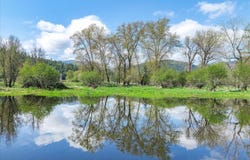 36524 E Canyon Rd, Cataldo, ID 83810