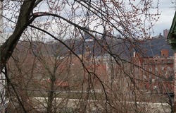 1310 Stranmore St, Manchester, PA 15212