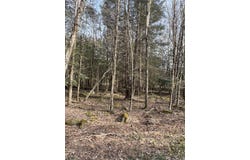 Lot 814 White Pine Drive, Pocono Lake, PA 18347