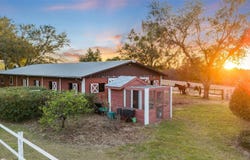 4230 REX DRIVE, WINTER GARDEN, FL 34787