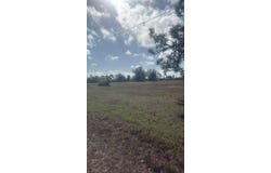 19 CARLINE Lane, PLACIDA, FL 33946