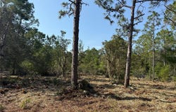 DOG LEG TRAIL, OSTEEN, FL 32764