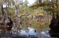 0 Steamset Road, Colfax, LA 71417