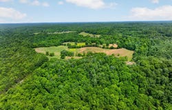 127.57Ac Homer Watson Rd, Burkesville, KY 42717