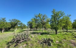 3230 Harbor Drive, May, TX 76857