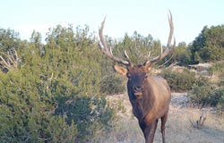 84521 CR 40.2, Branson, CO 81027