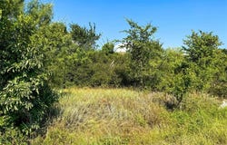 Tbd N I 20 Access RD, Cisco, TX 76437