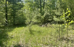 5403 E Circle Drive, Rose City, MI 48654