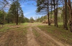 Highway 32, Licking, MO 65542