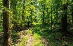 RIDGE ROAD, RISING SUN, MD 21911
