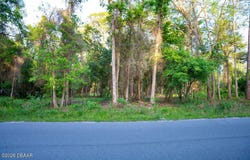 172 Whispering Pines Road, Georgetown, FL 32139