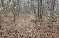 On LAKE WINTER RD, Winter, WI 54896