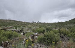 Ram Road, Chiloquin, OR 97624