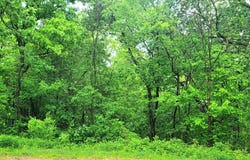 4 Hillside, GALENA, IL 61036