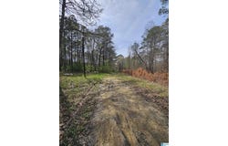 LOT 773 TAFT ROAD, ASHVILLE, AL 35953